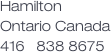 
Hamilton
Ontario Canada
416   838 8675

